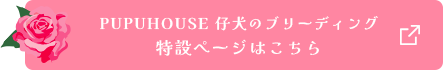 PUPUHOUSE 仔犬のブリーディング特設ぺージはこちら